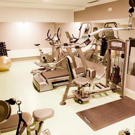 Ξενοδοχείο Golden Tulip Ana Dome 4*