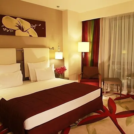 金色郁金香安娜圆顶酒店 酒店 4*