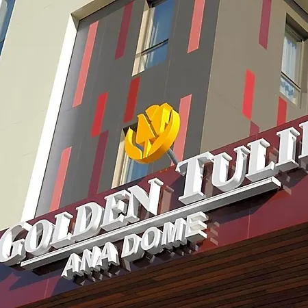 Golden Tulip Ana Dome 4* קלוז'-נאפוקה