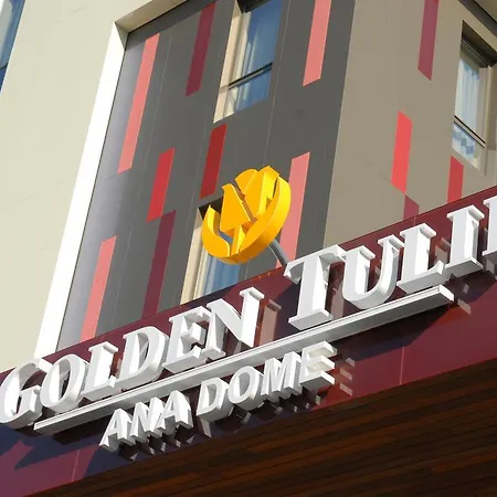 酒店 金色郁金香安娜圆顶酒店